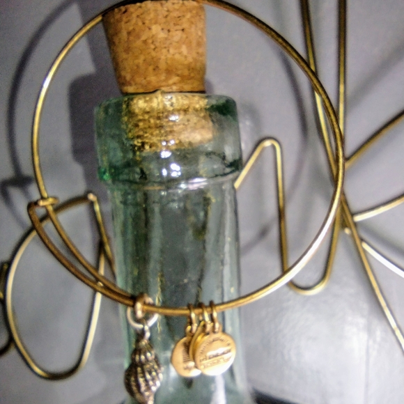 Vintage Alex & Ani bracelet with conch shell - Picture 4 of 4